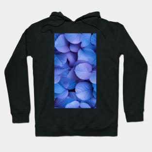 Beautiful array of overlapping lavender leaves  ! Hoodie